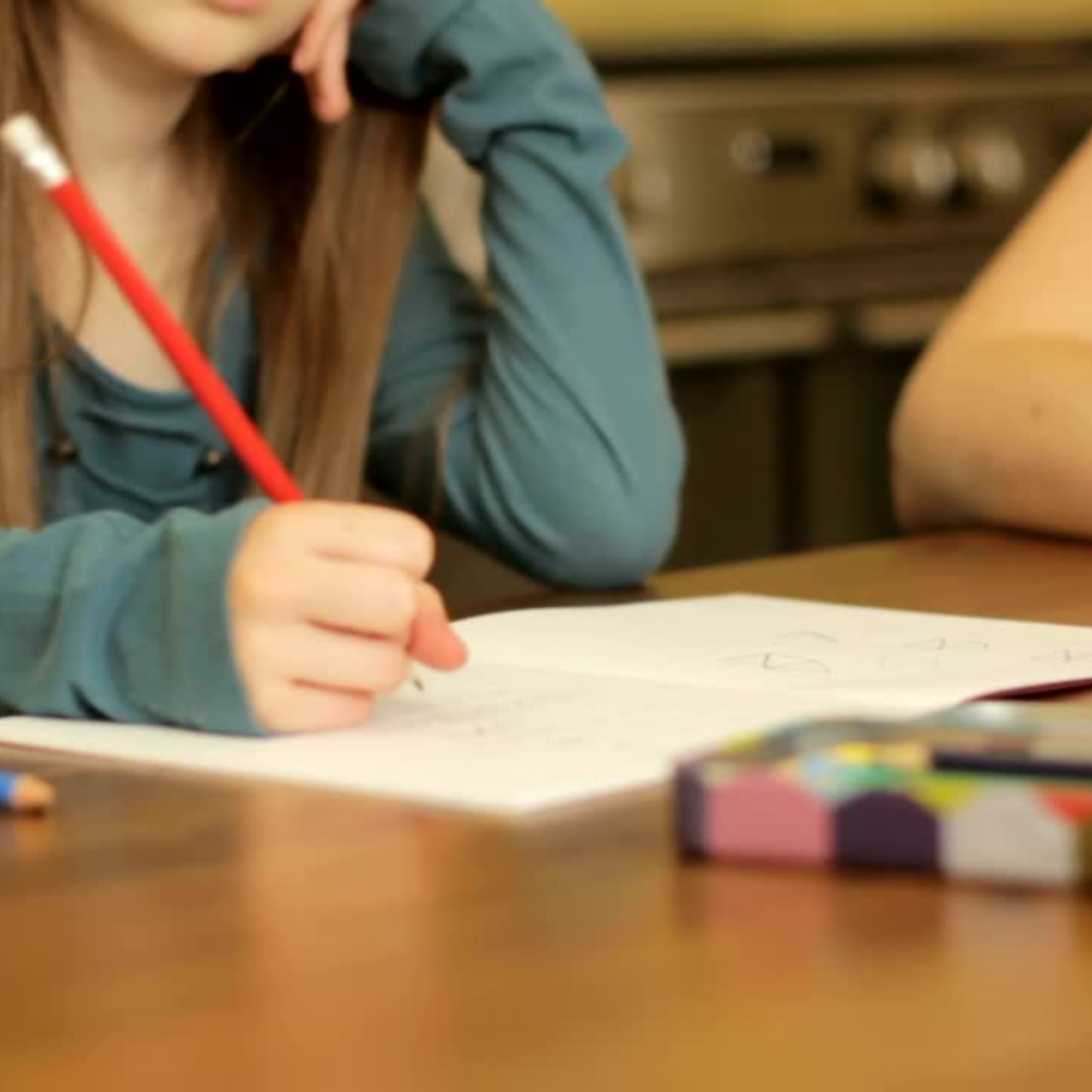 Educational Inequities: Bridging the Gap for Marginalized Youth