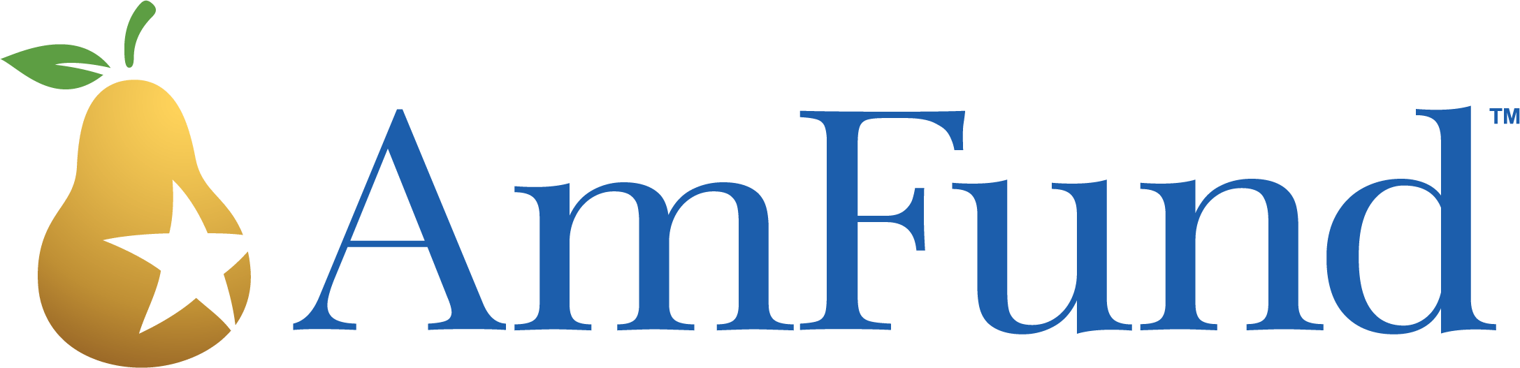 AmFund logo