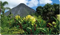 Rainforest and tropical landscape in Costa Rica